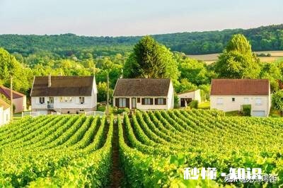 如果可以选择，你喜欢农村的田园生活还是城市的繁华生活