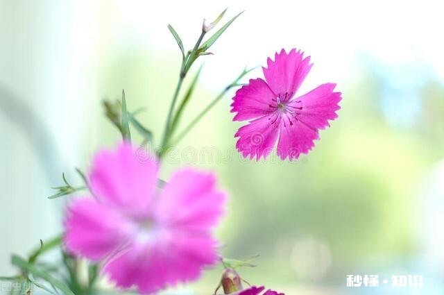 媳妇说拿出积蓄十万借给弟弟买房,我不同意老婆天天闹我该怎么办