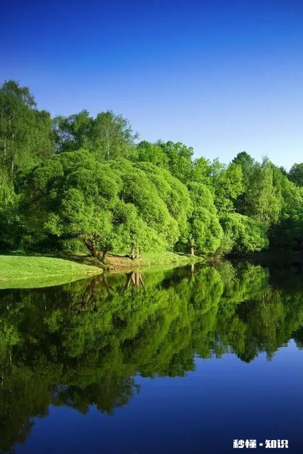 你支持男人当家还是女人当家