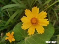 各种景区大门前移，收取高额区间车费！真的是为了环保吗