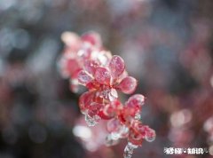 初三的孩子作业做到11点多睡觉，属于正常吗