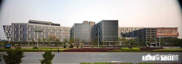 阿里未来会不会放过拼多多你怎么看