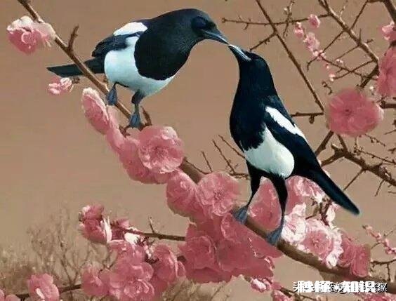 你觉得在遇到困难时，兄弟姐妹有没有义务要帮助自己