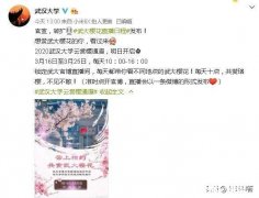 延期开学我们错过了什么