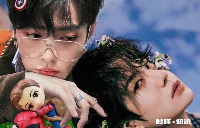 你如何评价《陈情令》中忘羡的感情原著是爱情，剧中是兄弟情