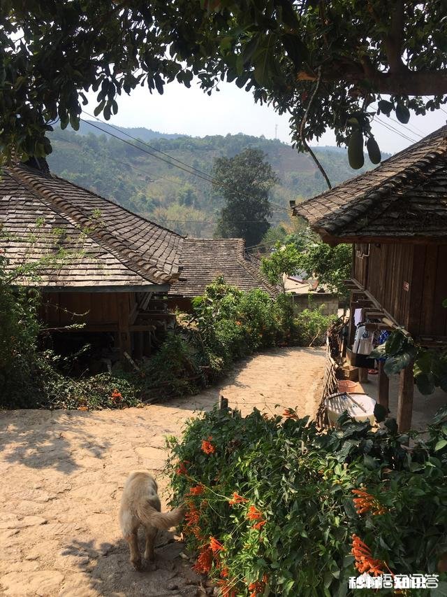 和一个“O”型血的男女出游是种怎样的体验