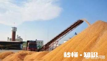 黑龙江省启动了玉米30万吨省级储备，玉米收购价每斤0.8元，你认为怎么样