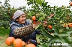 有这么一类人，生在农村学历不高、长相一般，想做自媒体如何入行