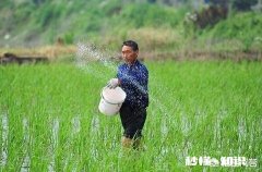 在农田施肥中，控施肥和缓释肥哪个好