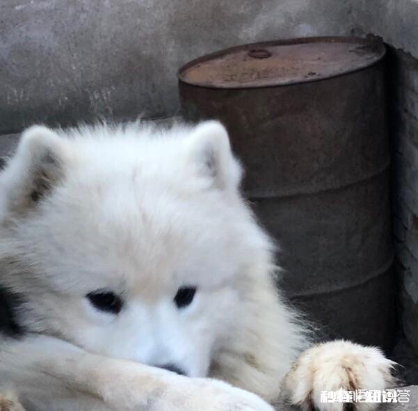 男友的妈妈说：结婚要女方买房，男方装修男友说那是他妈他没办法。要怎么办