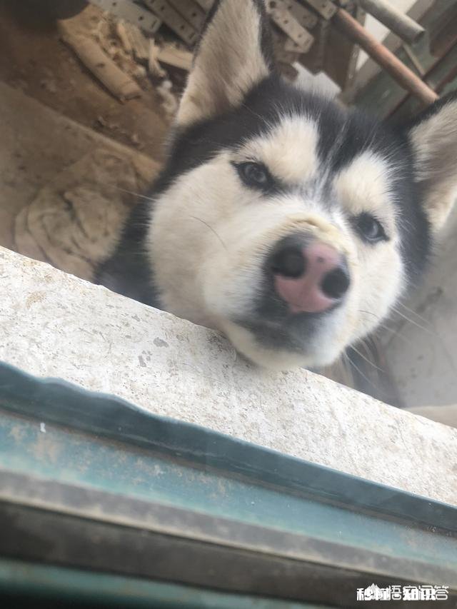 男友的妈妈说：结婚要女方买房，男方装修男友说那是他妈他没办法。要怎么办