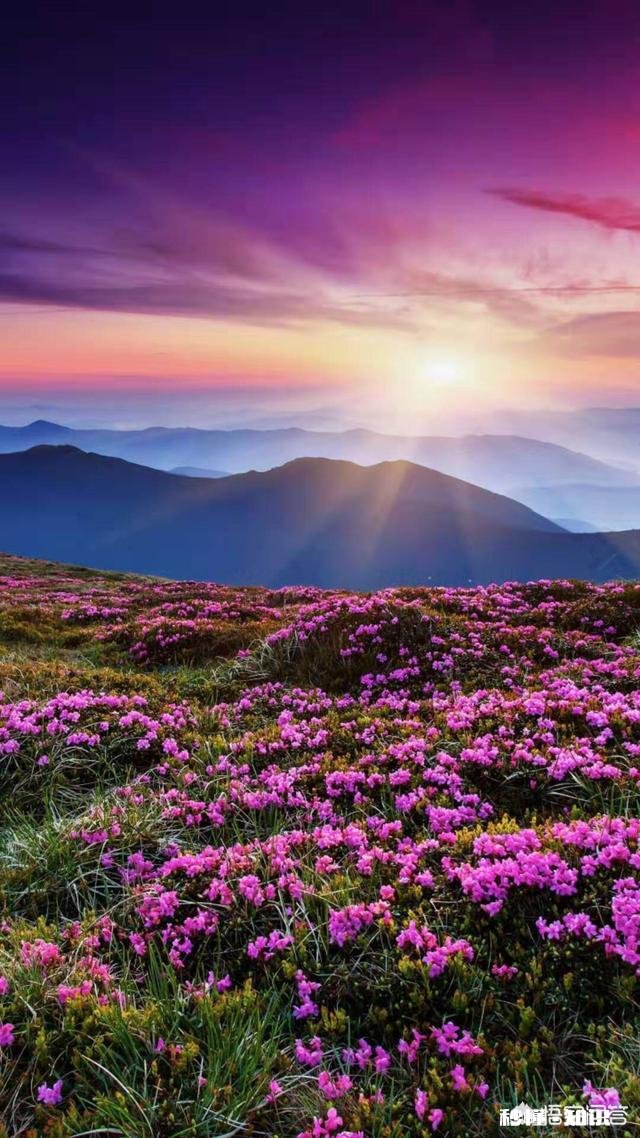 男友的妈妈说：结婚要女方买房，男方装修男友说那是他妈他没办法。要怎么办