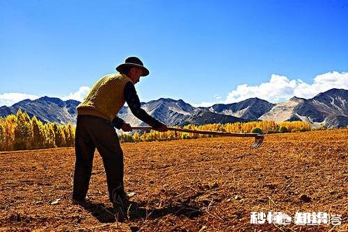 一个太过单纯不谙世事的人将来步入社会，会被吃的渣都不剩吗