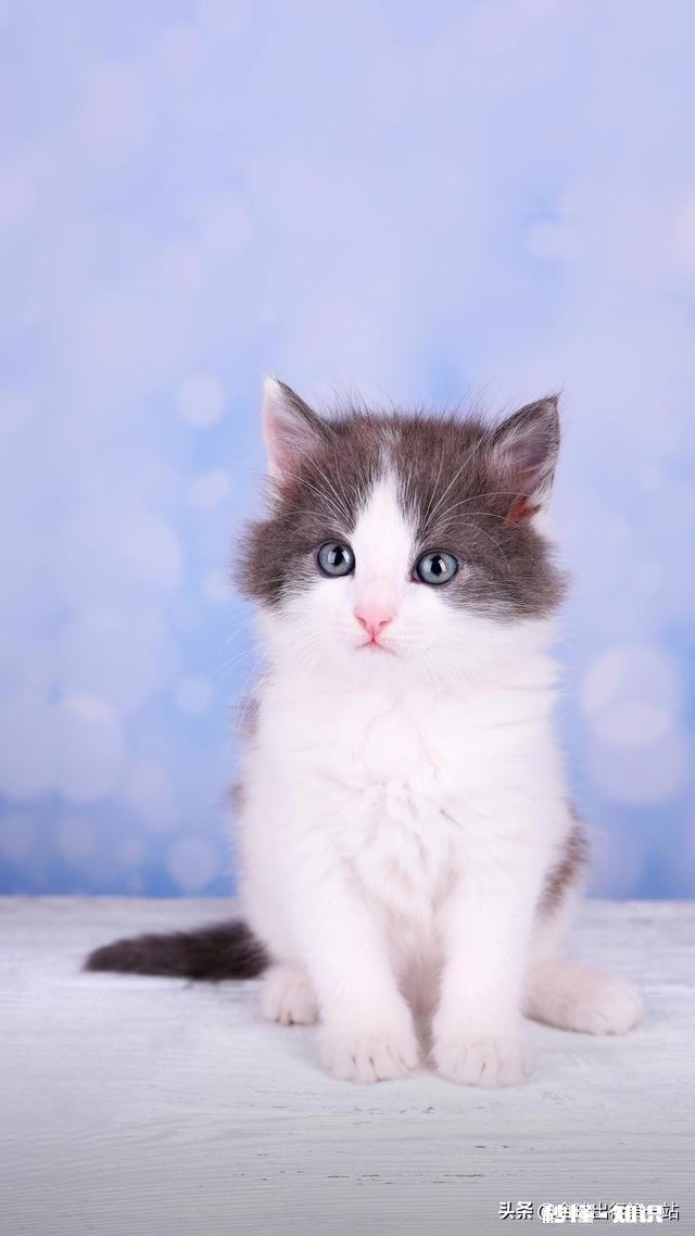 工作不顺心，你会选择喝酒买醉吗为什么