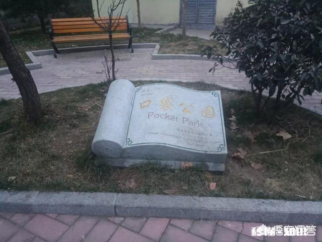 如何在日常生活中体现语言的艺术