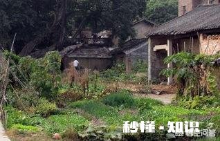 粮食便宜了，养牛本钱大，农村还有出路吗