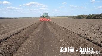 粮食便宜了，养牛本钱大，农村还有出路吗