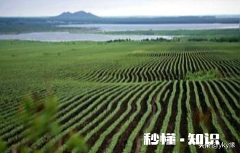 土地流转是规模化种植的前提，哪些因素影响了土地流转