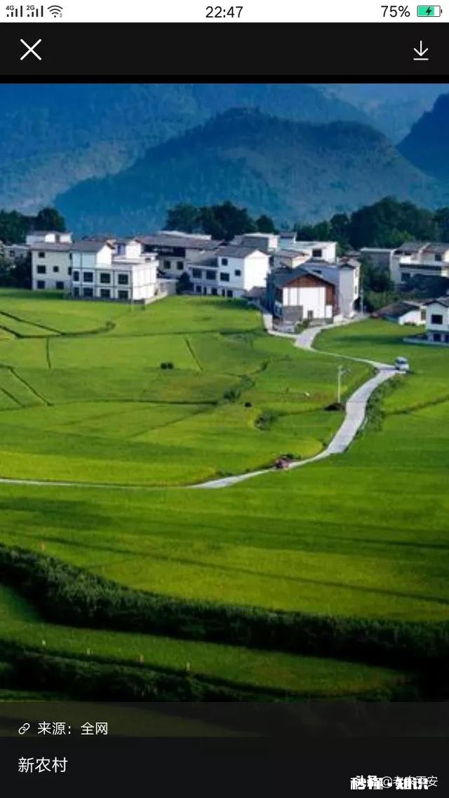 土地流转是规模化种植的前提，哪些因素影响了土地流转