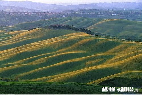 土地流转是规模化种植的前提，哪些因素影响了土地流转