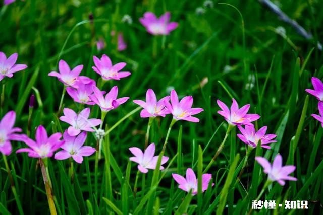 老公胃癌住院花了好几万家里没余钱了要我出去挣钱我该咋办