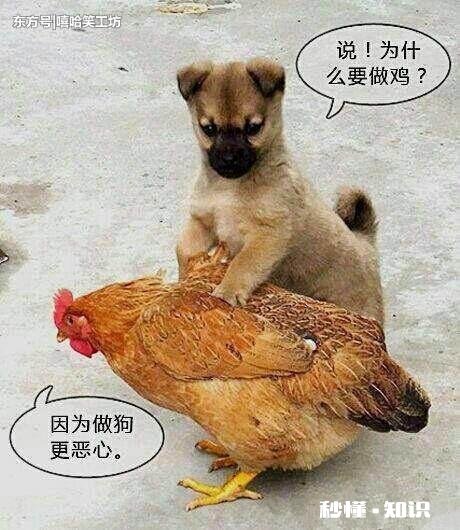 下联：美味佳肴诱犬来，上联怎么对