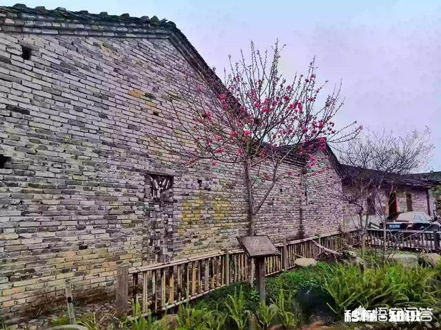 ?休闲农业中如何去设计一个观赏型蔬菜园