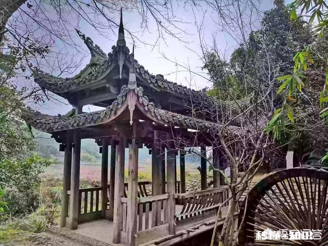 ?休闲农业中如何去设计一个观赏型蔬菜园