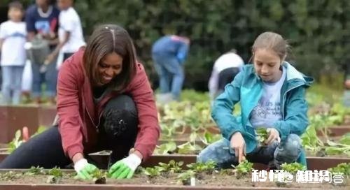 ?休闲农业中如何去设计一个观赏型蔬菜园