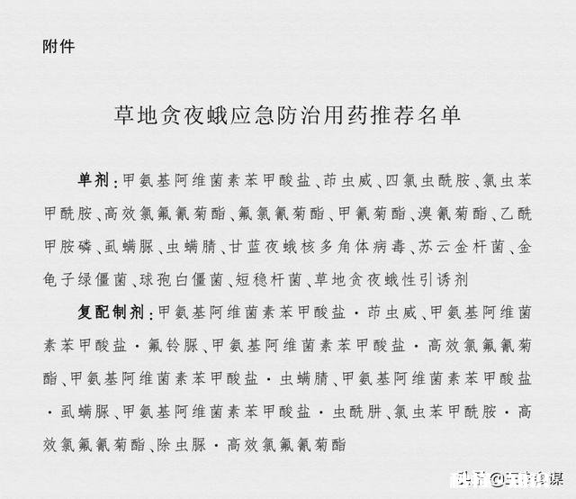 目前蝗虫防治和贪夜蛾防治哪个更重要