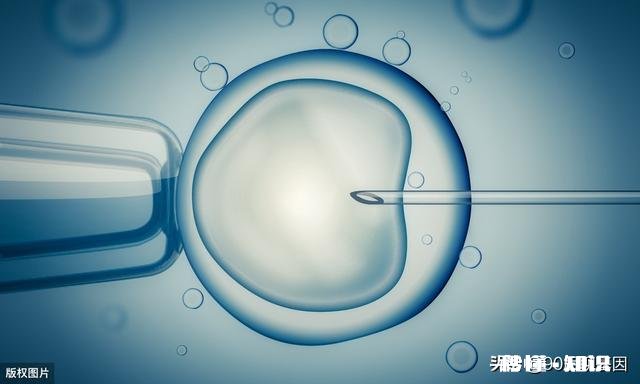 伴随着寿命日渐增长，人类生殖能力将逐渐减弱，对吗