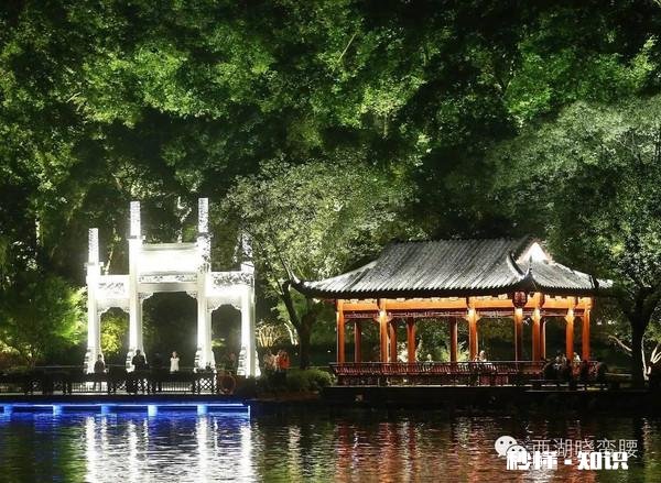 西湖的夜景有多美