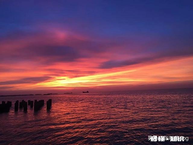 北海一天连端两“鼠窝”10名传销骨干被刑拘, 你怎么看