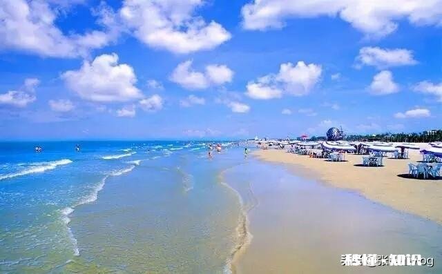 北海一天连端两“鼠窝”10名传销骨干被刑拘, 你怎么看