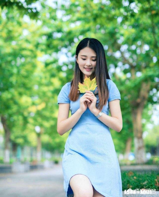 你如何用一句话描述佳能和尼康的特点