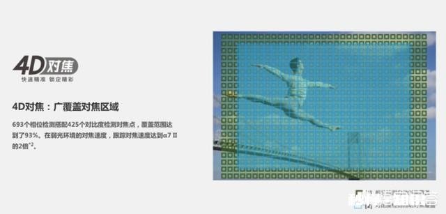 索尼a7m3与佳能5d4谁的追焦更靠谱