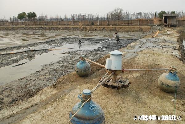 今年还能养鱼吗