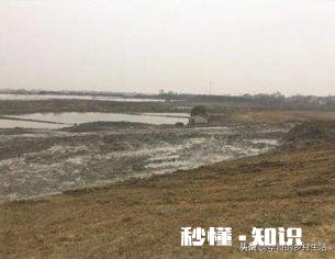 今年还能养鱼吗