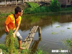 今年还能养鱼吗