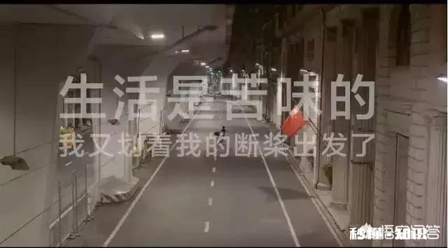 有些网红快餐店，开的快死的快你怎么看