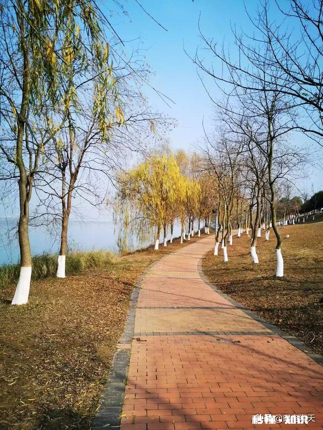 婆婆总是喜欢和老公说悄悄话怎么办