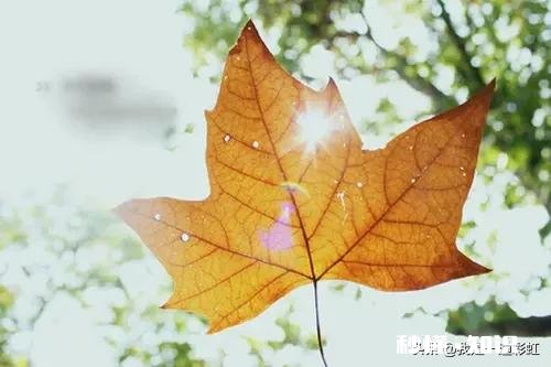 女人28岁后还没结婚就是晚婚吗还不想结婚的是什么心理状态