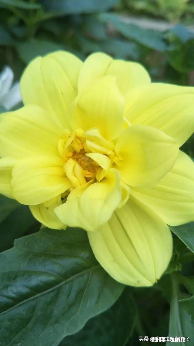 女人28岁后还没结婚就是晚婚吗还不想结婚的是什么心理状态