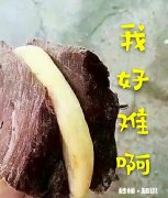 明明很爱我，可却拒绝见我是为什么