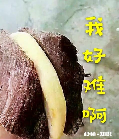 明明很爱我,可却拒绝见我是为什么