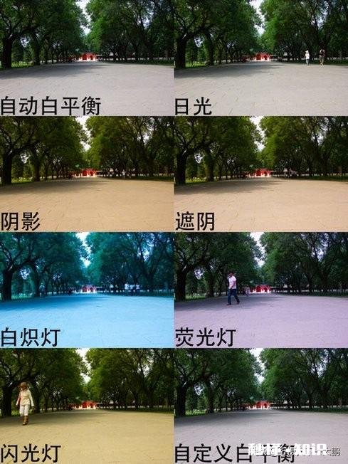 做淘宝，摄影白平衡怎么设定好呢