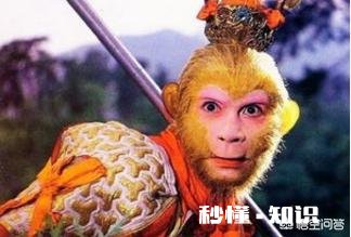 读《西游记》解析一个团队成员的文化教养，作为团队核心如何运作