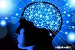 死了的人还能看得到这个世界么