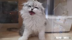 被猫抓，当时流了点血，晚上看不到，破口了算严重吗会得狂犬病吗