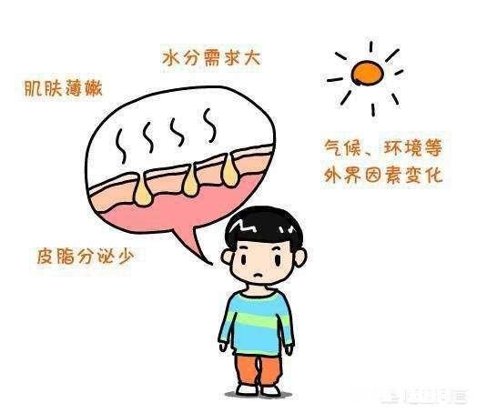 32岁，干性皮肤，想换护肤品。请问各位仙女们哪个品牌好